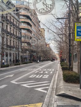 A quiet city street adorned with Christmas decorations, featuring winter foliage and a bus and taxi lane.