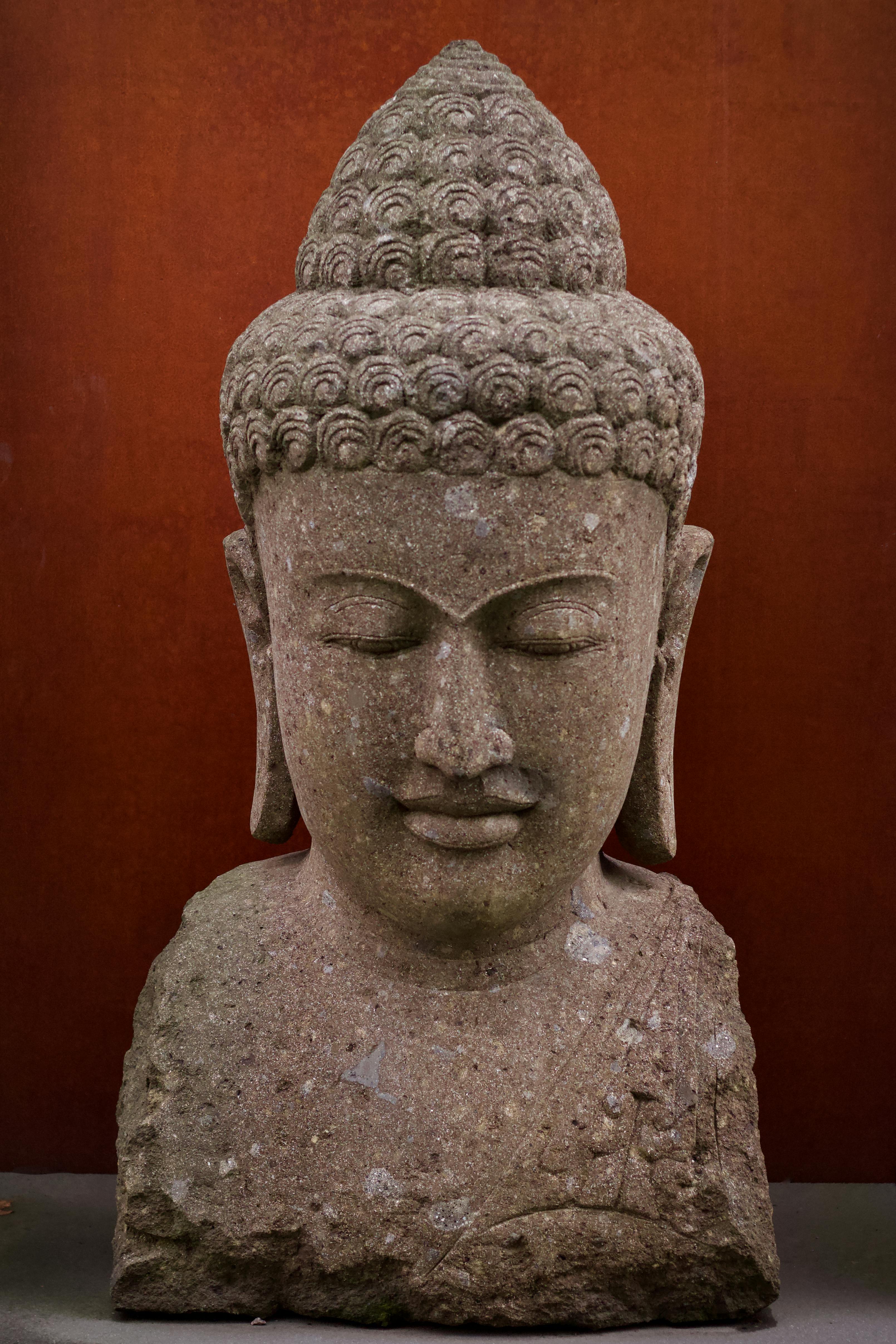 Buddha S Tales For Young And Old Volume 2 Text Only