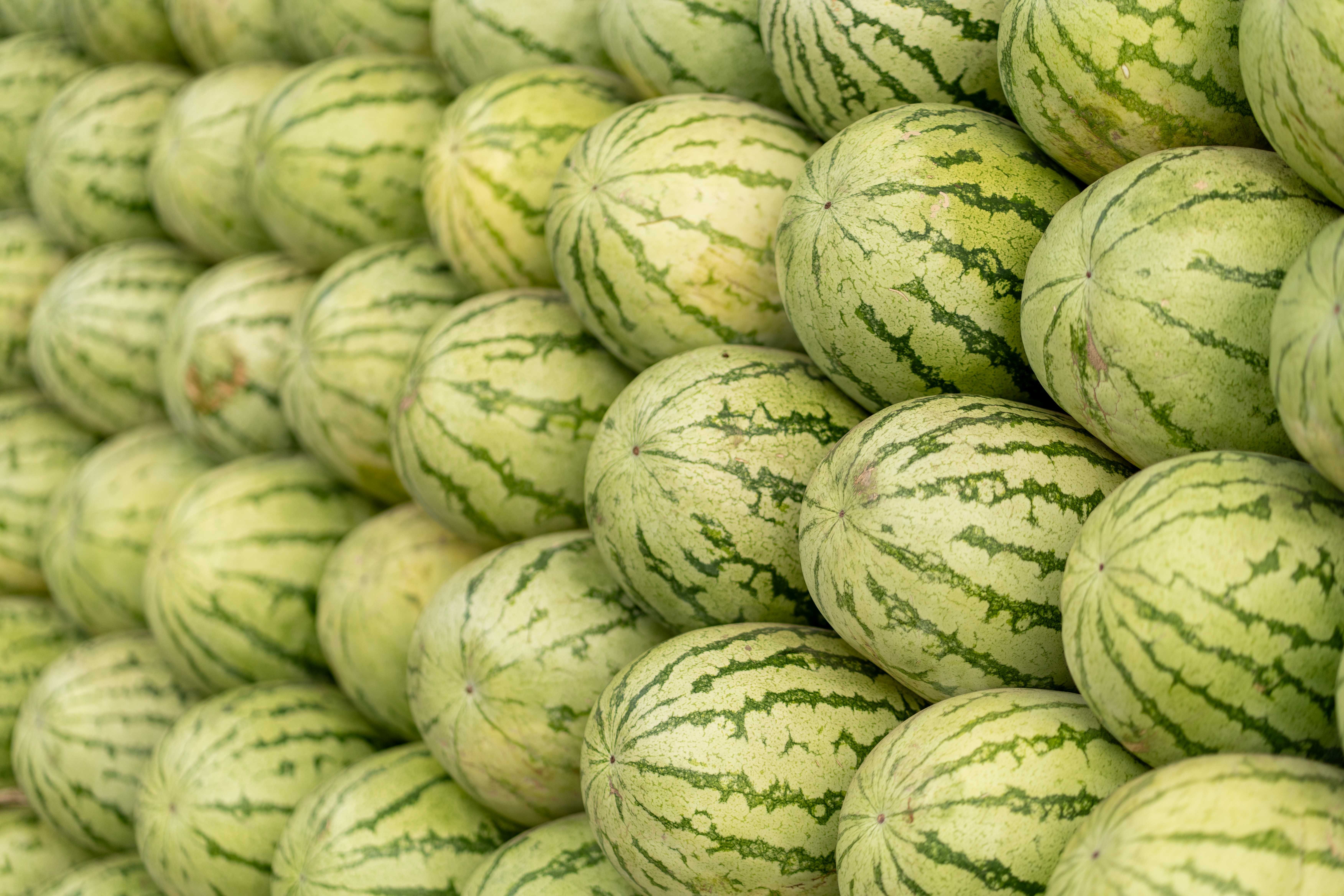 How to Pick a Watermelon by Its Stripes? - Chef's Resource