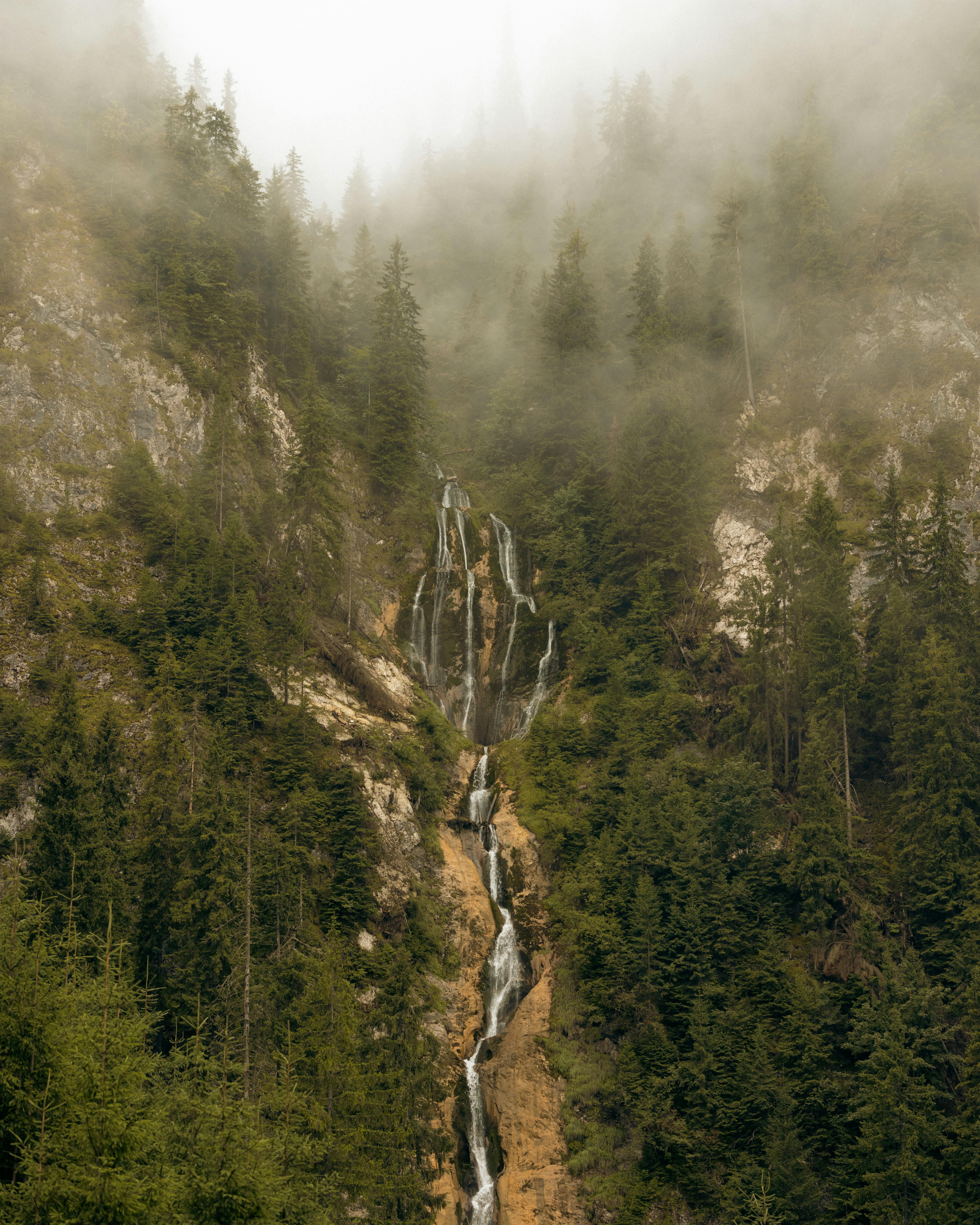 무료 안개가 자욱한 산자락, 울창한 숲 속에서 고요한 폭포수가 쏟아져 내린다. 스톡 사진