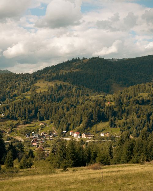 Free Picturesque mountain village with lush green forests in summertime. Stock Photo