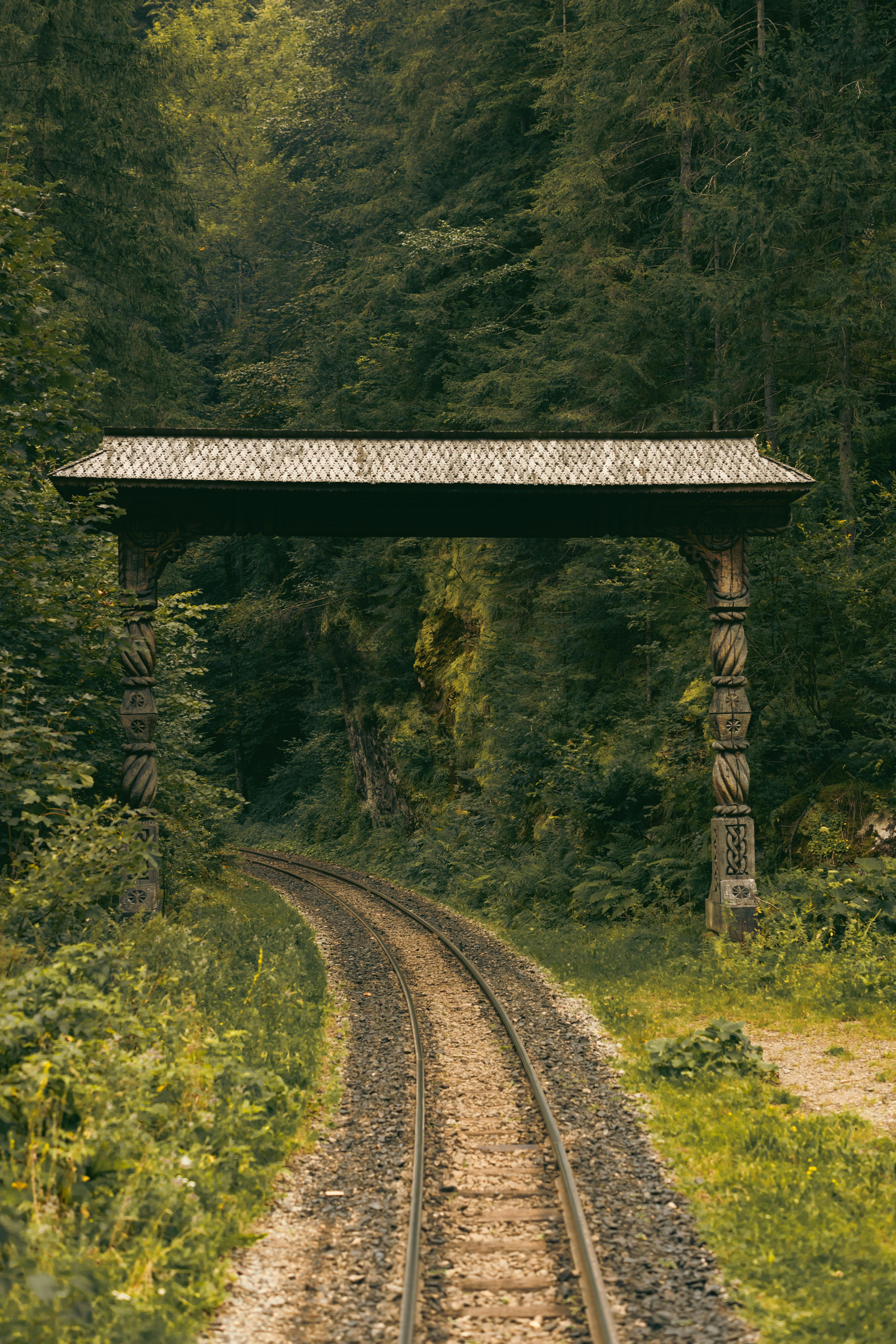 Ücretsiz Yemyeşil bitki örtüsü ve sık ağaçlarla çevrili, tenha bir orman demiryolu, rustik bir ahşap köprünün altından geçiyor. Stok Fotoğraflar
