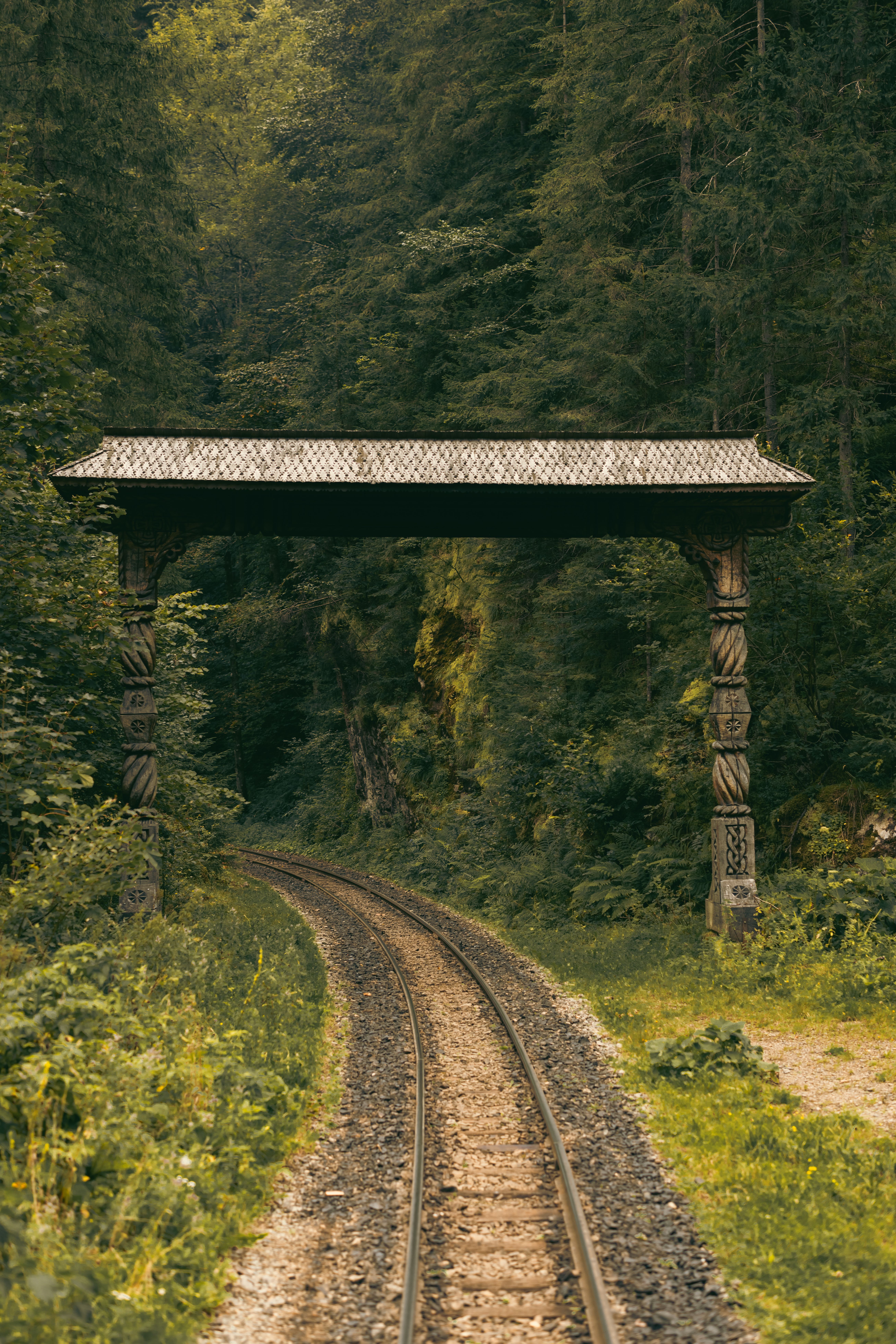 Rustic Wooden Bridge Over Forest Railway · Free Stock Photo
