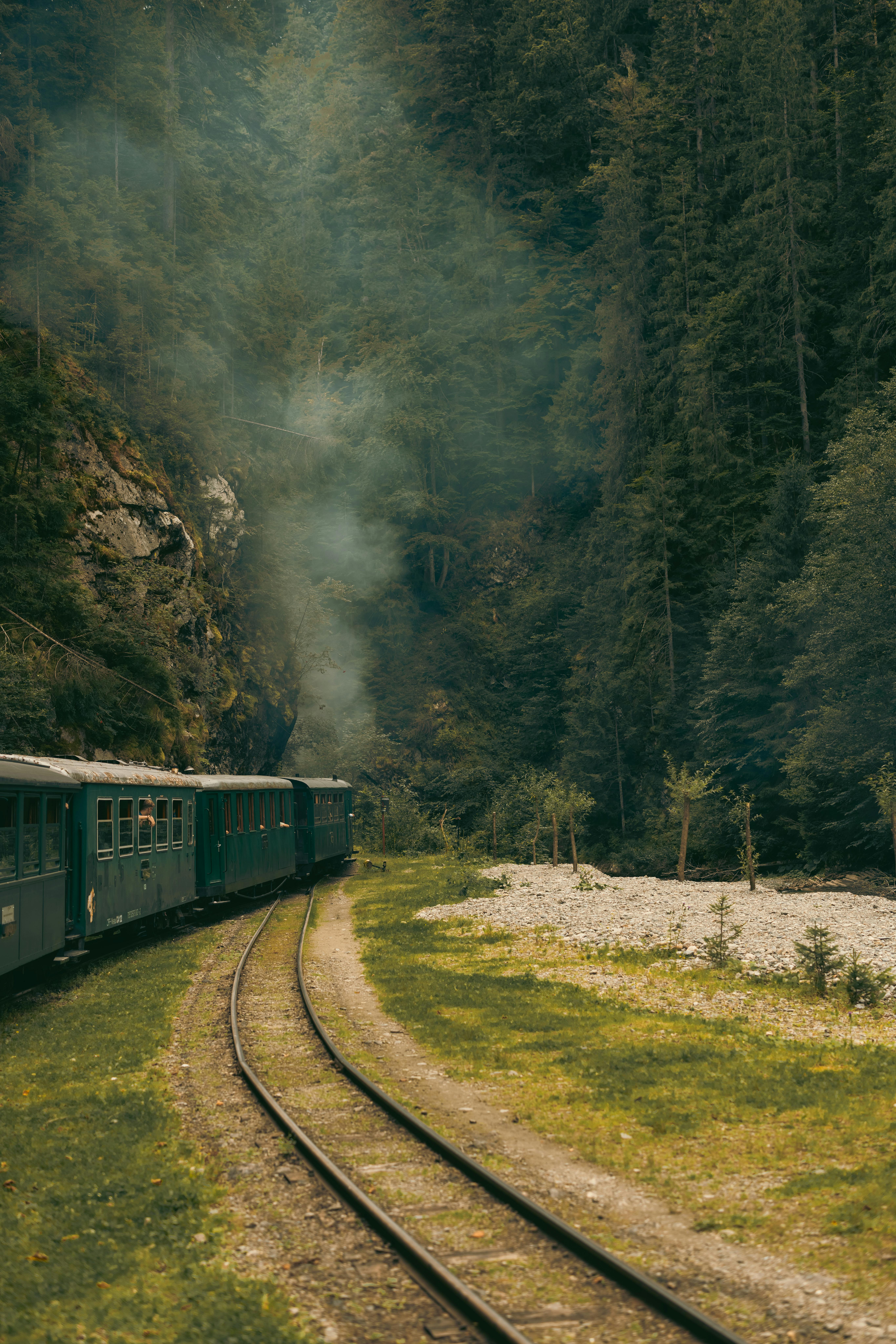 A vintage train travels through a lush forest, surrounded by greenery and mountains, conveying a sense of adventure.