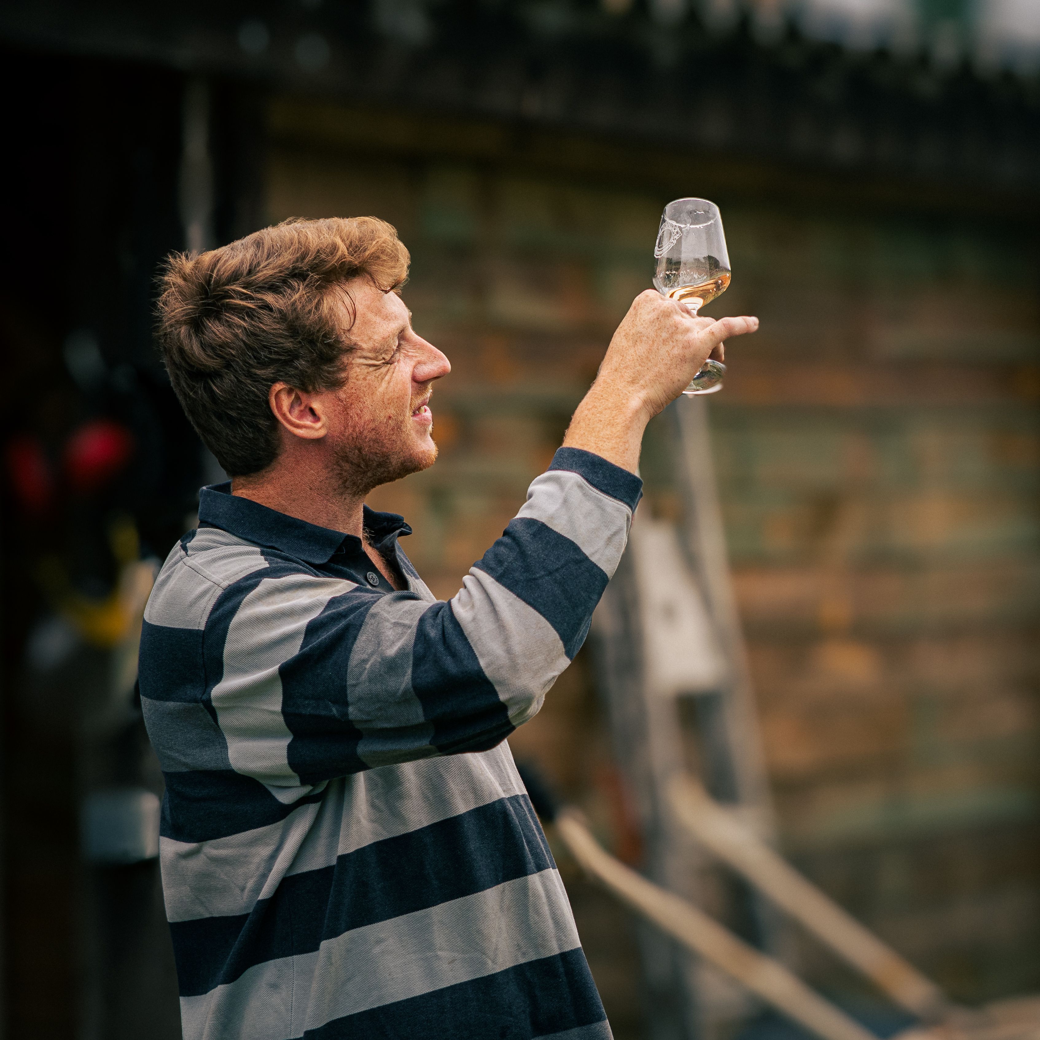 Tomás Rivera, cellar master, checking a glass of wine