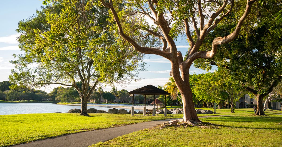 A serene park scene featuring lush green trees, a path, and a shaded bench by a lake, perfect for relaxation.