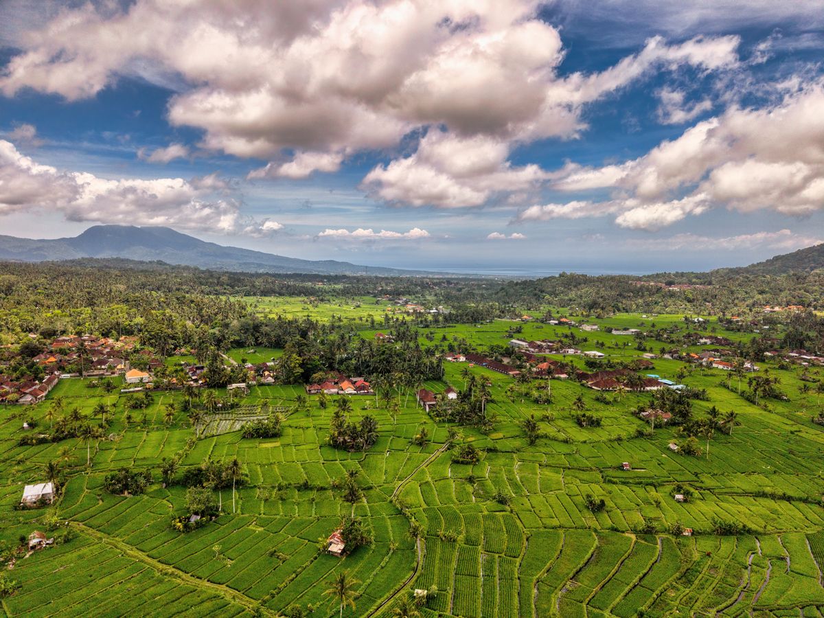 7 Day Wellness, Breathwork & Yoga Retreat in Ubud, Bali 2