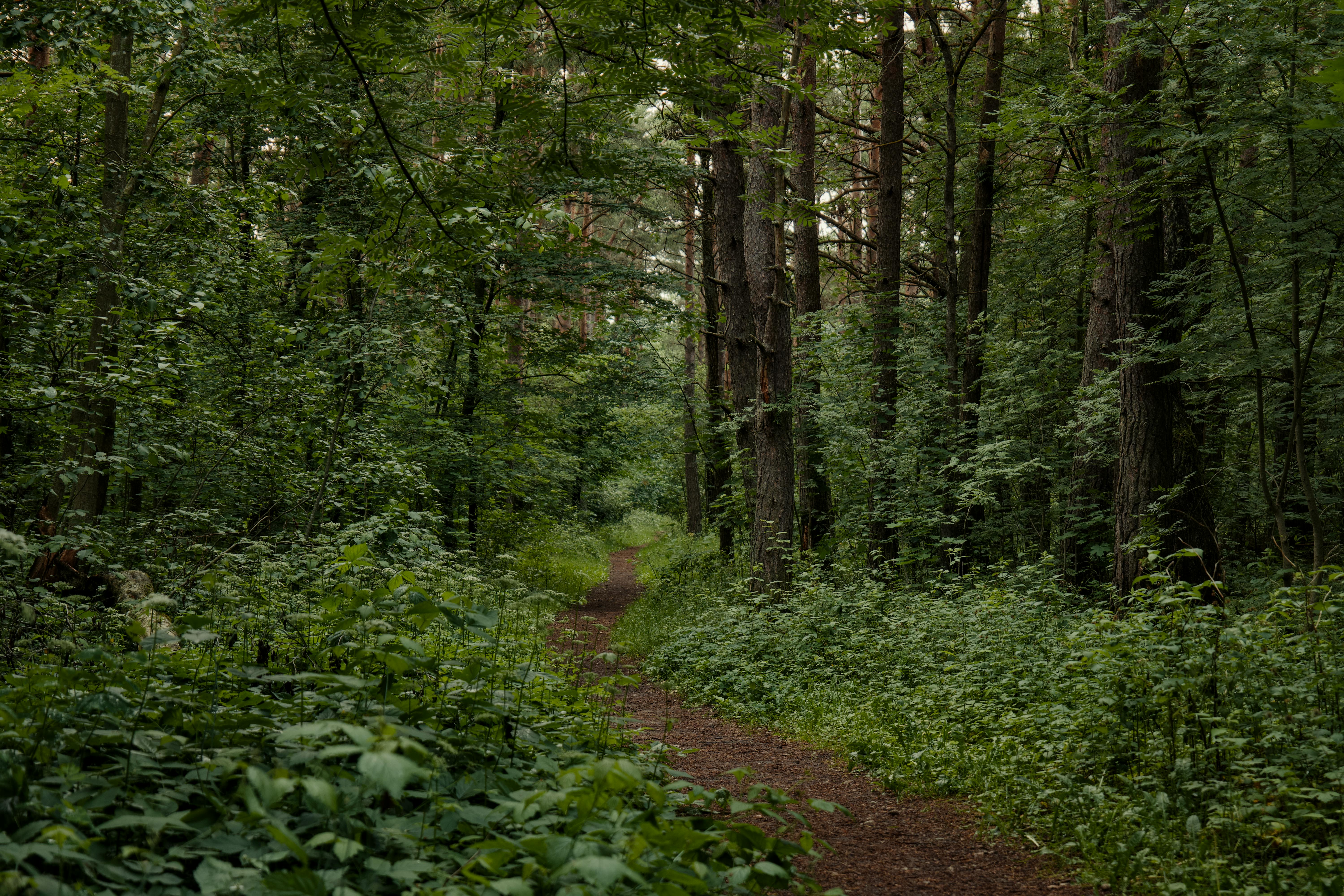 Watford City’s new trail to offer year-round outdoor recreation — Photo by Lauri Poldre on Pexels