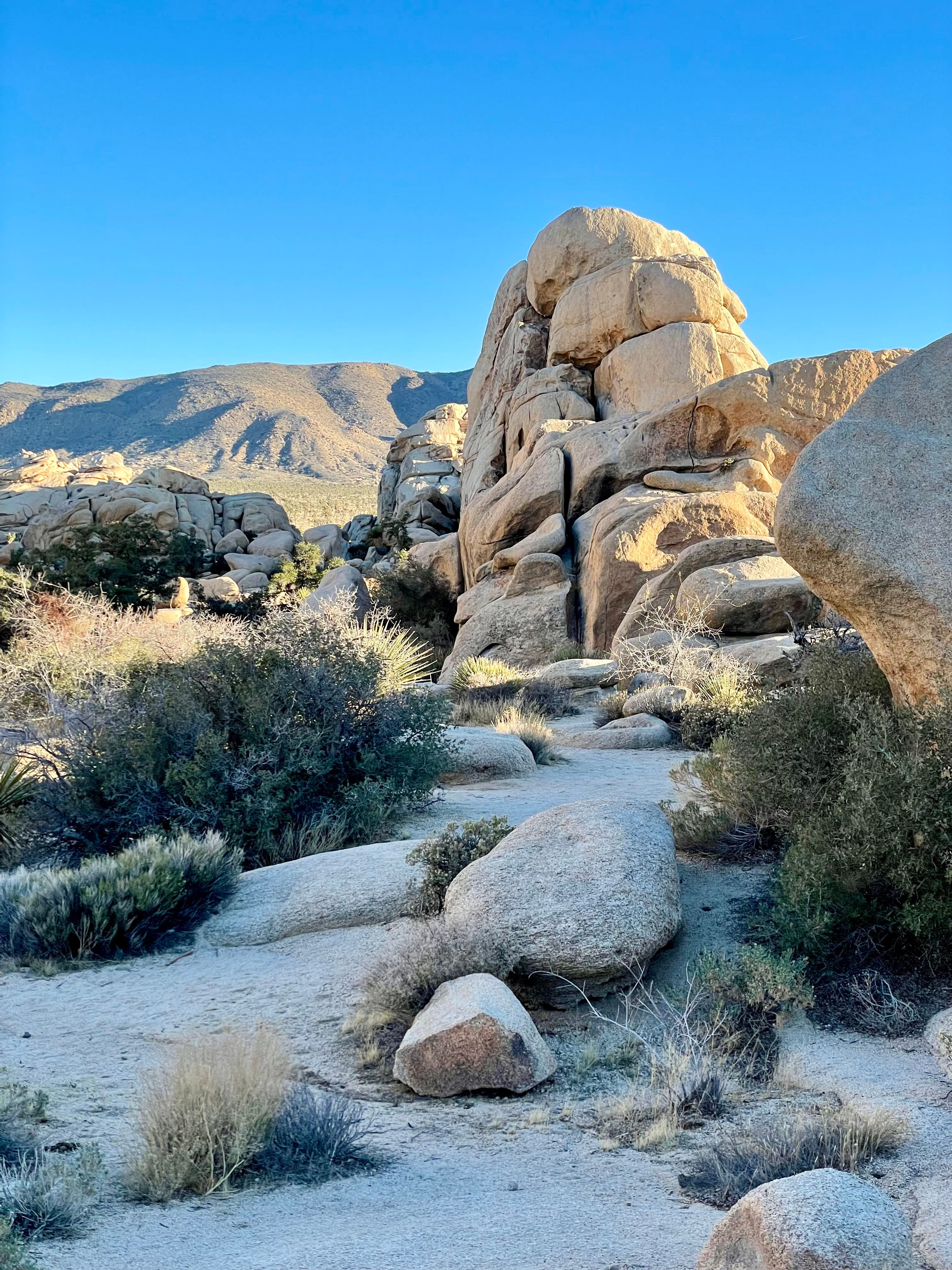 Jumbo Rocks Campground – Joshua Tree