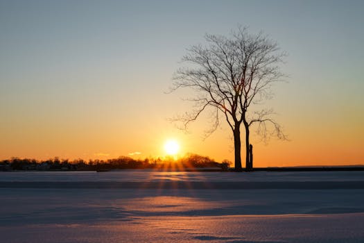 Peaceful winter sunset with silhouetted tree and snow-covered field.