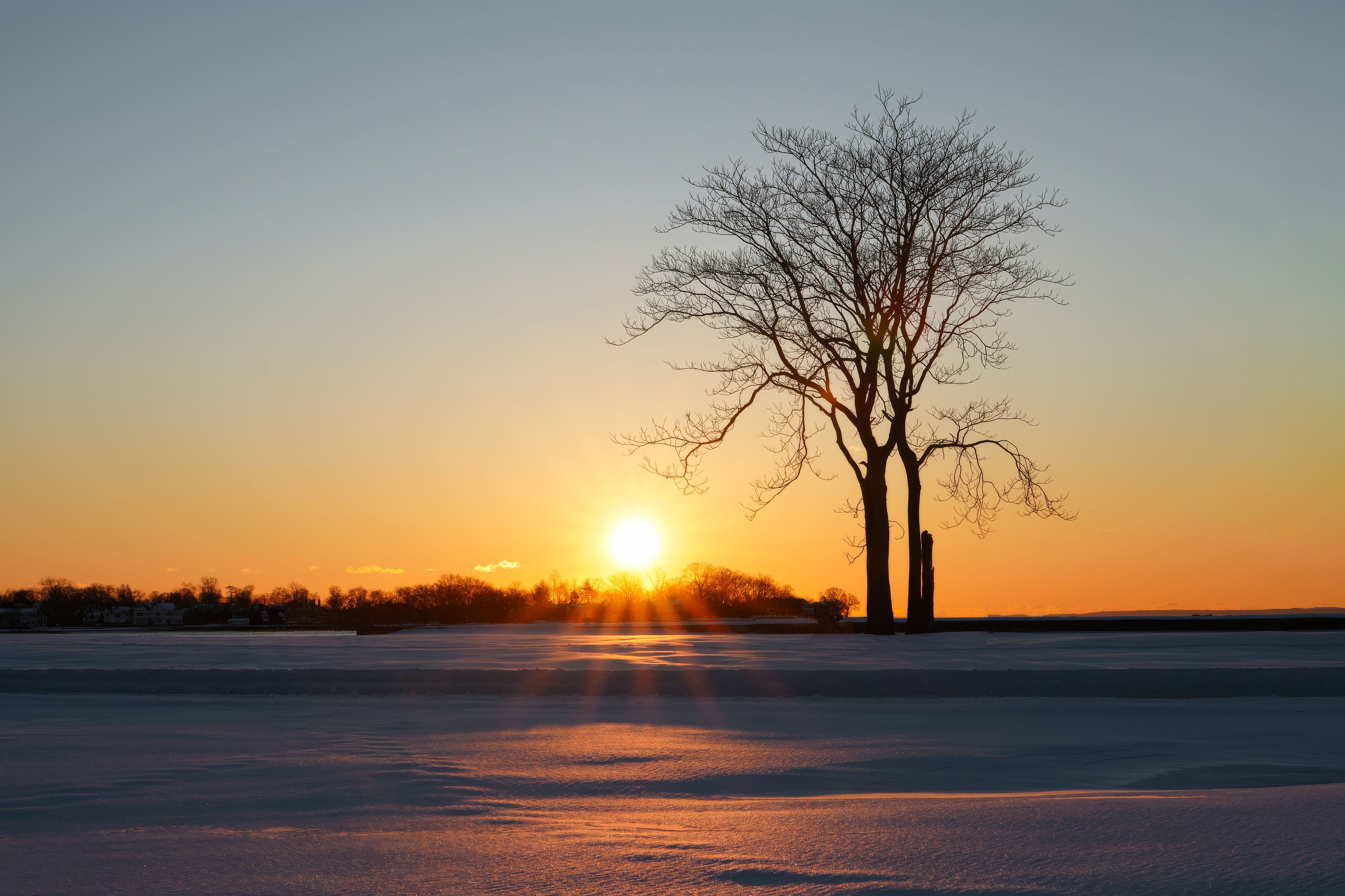 Serene Winter Sunset with Lone Tree Landscape · Free Stock Photo