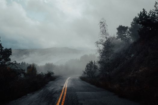 Mysterious mountain road disappearing into the fog, creating an atmospheric scene.