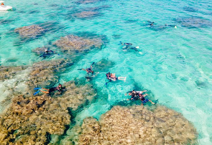 Snorkelers exploring vibrant tide pools in crystal-clear waters, aerial view.