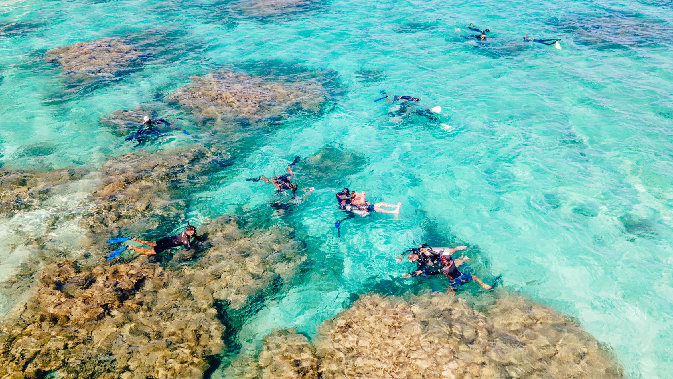 Snorkelers exploring vibrant tide pools in crystal-clear waters, aerial view.