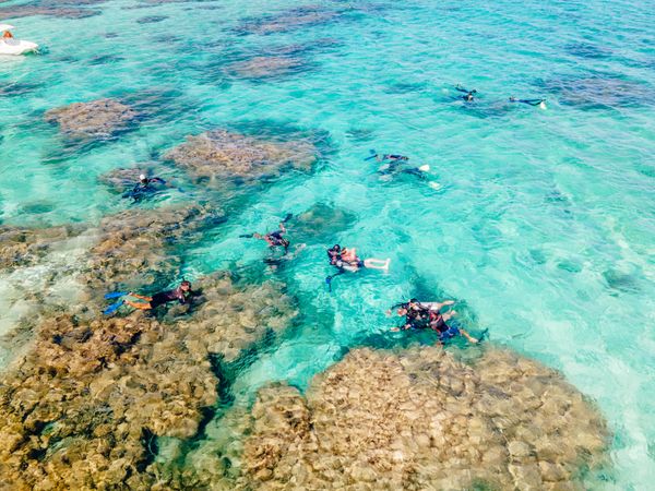 Coral Island Tour
