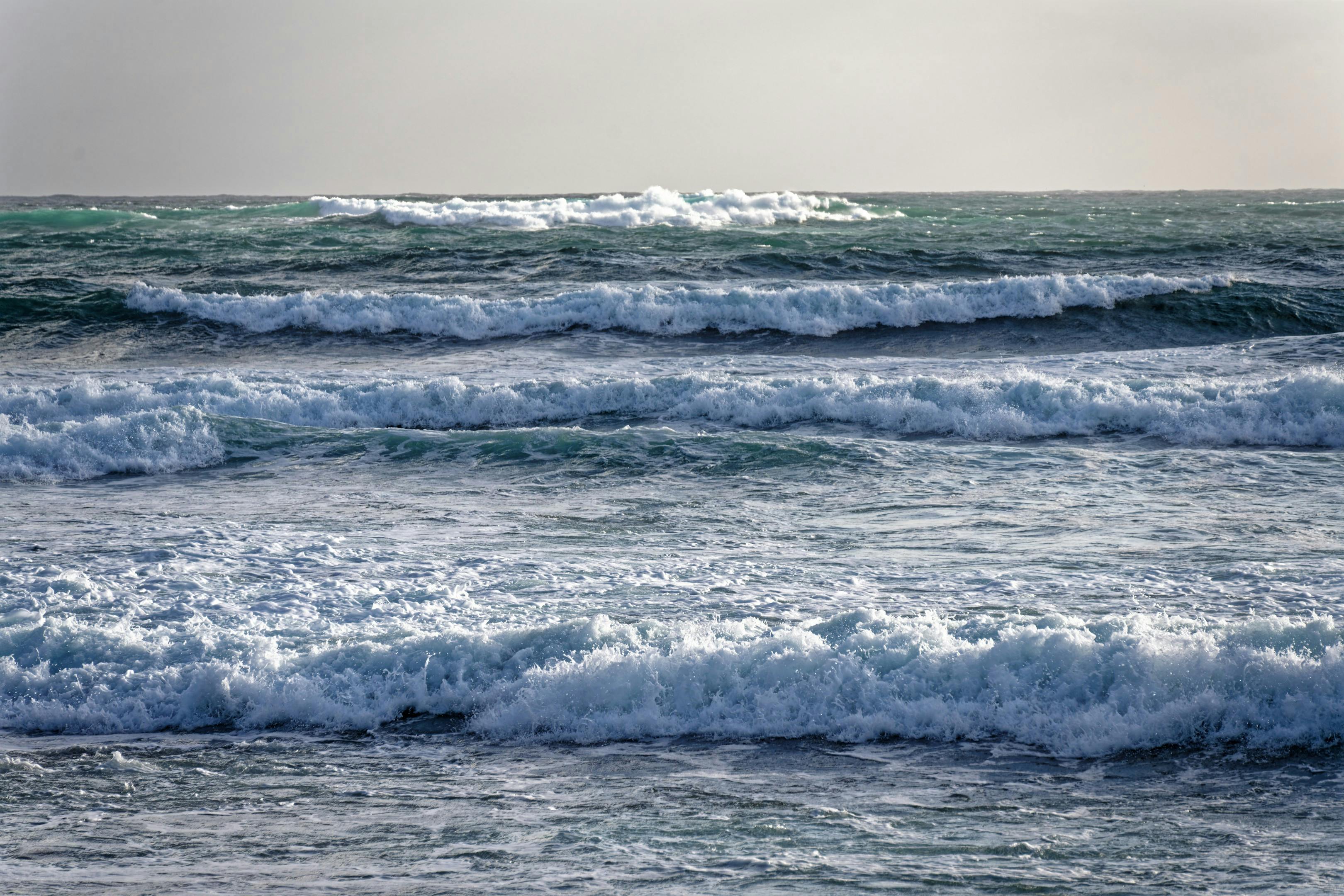 How to Support Charity and Win a Home in Warrnambool: The Complete Guide to Prize Home Draws