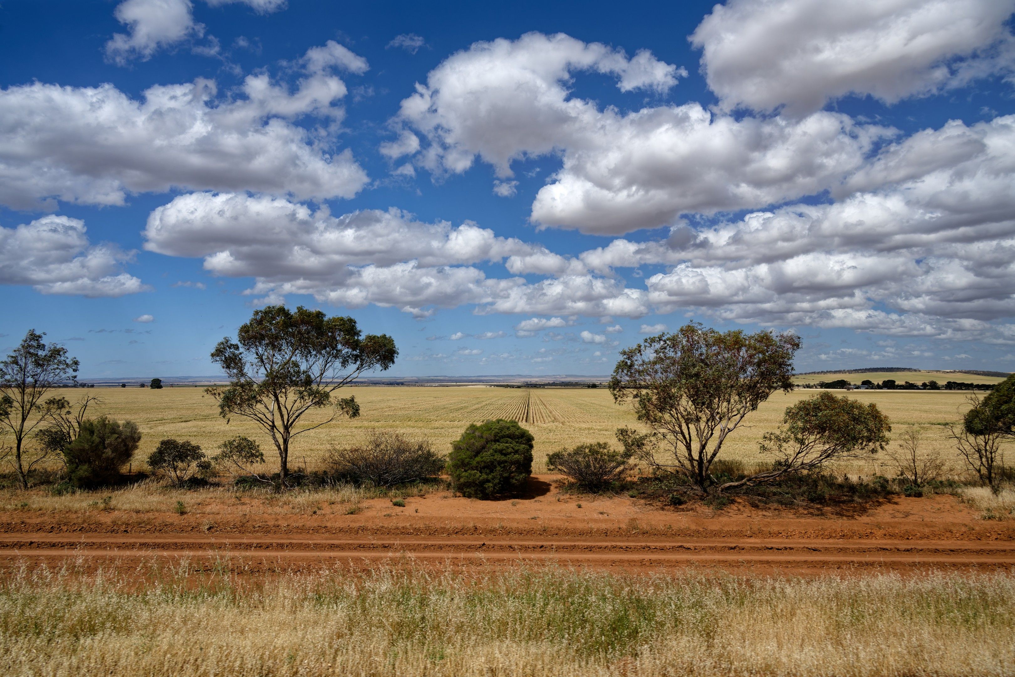 Expansive Rural Landscape with Blue Sky and Clouds · Free Stock Photo