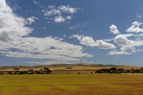 Free Wide view of wind turbines on a grassy field under a blue sky with clouds. Stock Photo