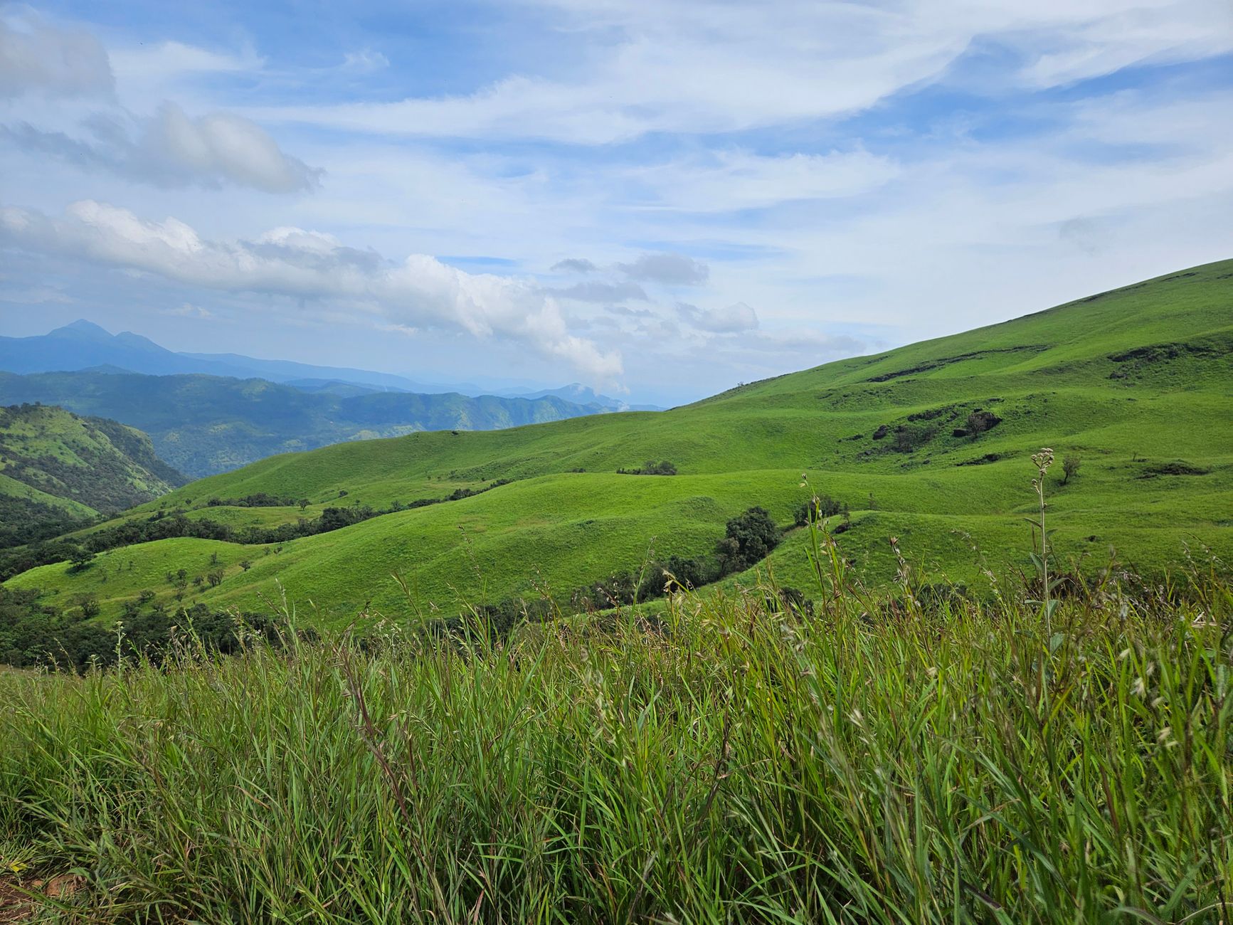 Chikmagalur with Family: Stays and Things to Do