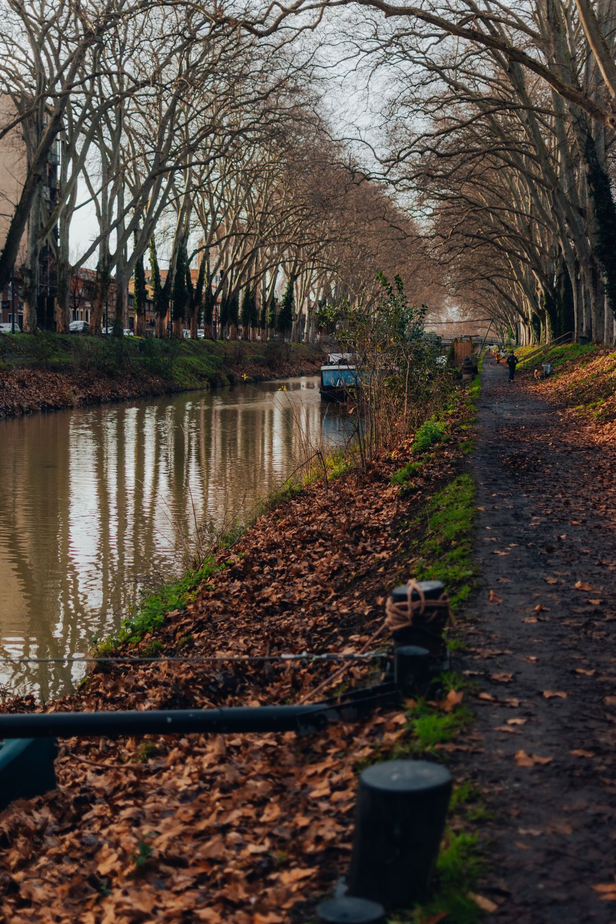 A barge under an avenue of plane trees on the Canal du Midi