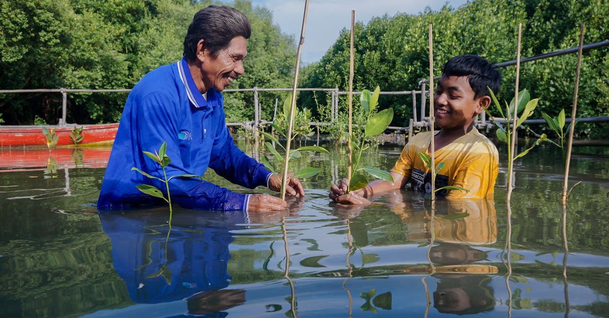 A traveler planting a mangrove sapling on a beach with local community members
