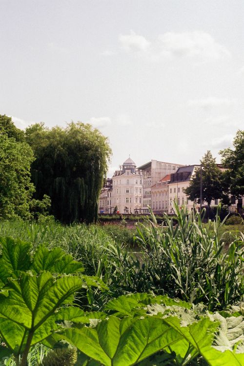 Free Serene urban nature scene in Hamburg, Germany, with canal, greenery, and city architecture. Stock Photo