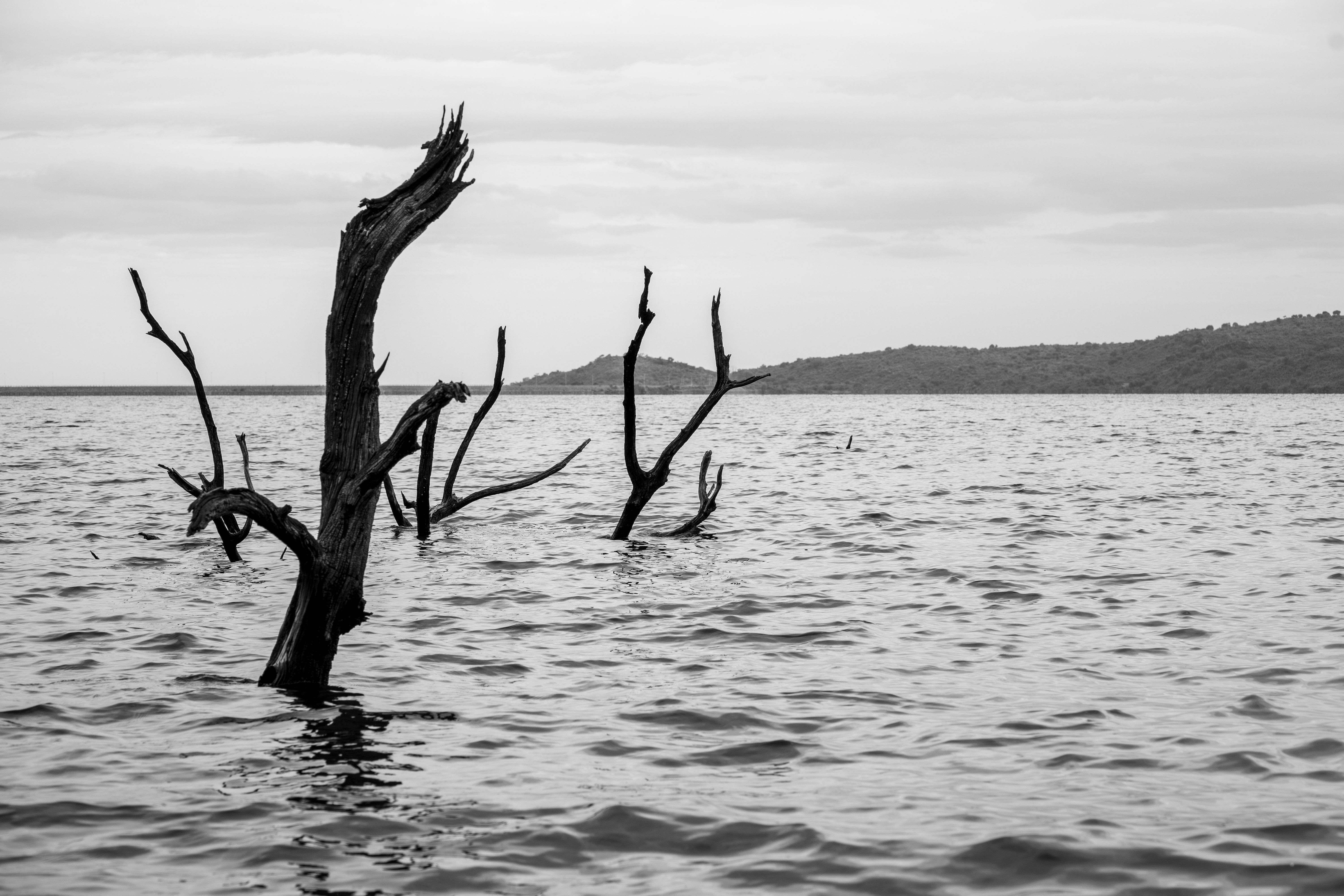 Alerta crítica por el desbordamiento del río Paraná pone a prueba la gestión hídrica regional