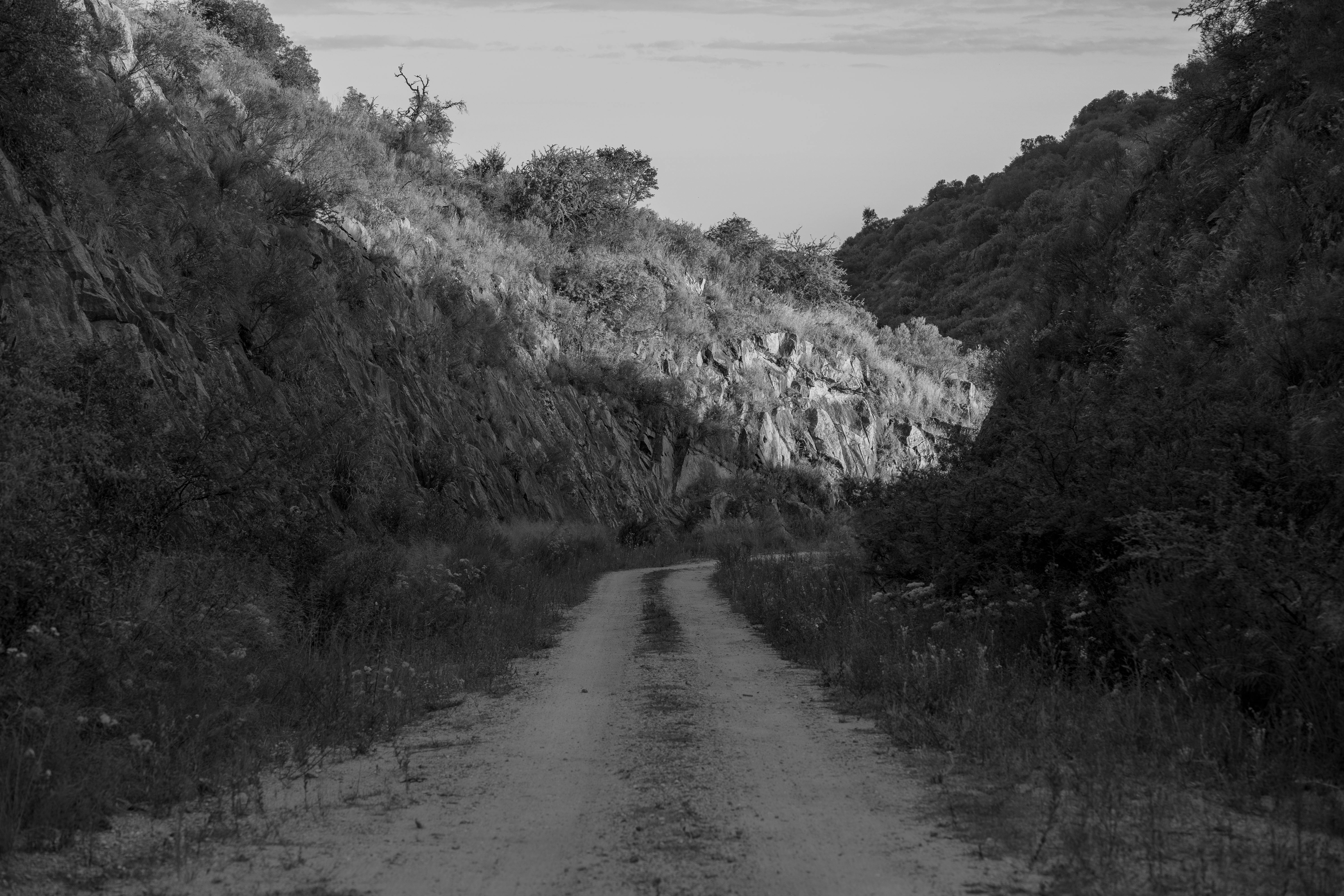 grátis Uma estrada de cascalho tranquila que atravessa colinas rochosas em Córdoba, Argentina, capturada em preto e branco. Foto profissional