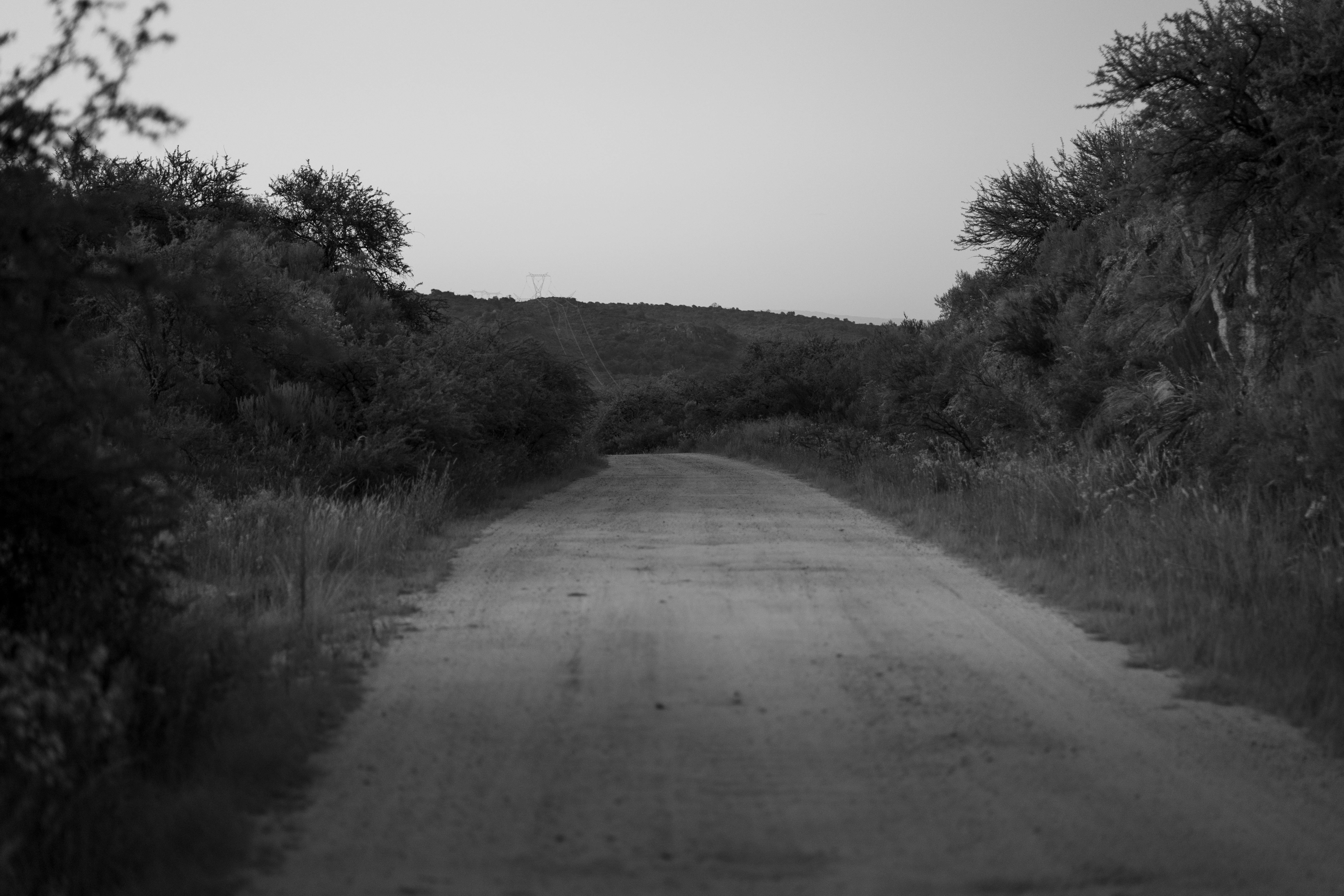 Gratuit Un drum rural liniștit din Cordoba, Argentina, înconjurat de verdeață luxuriantă, surprins la amurg. Fotografie de stoc