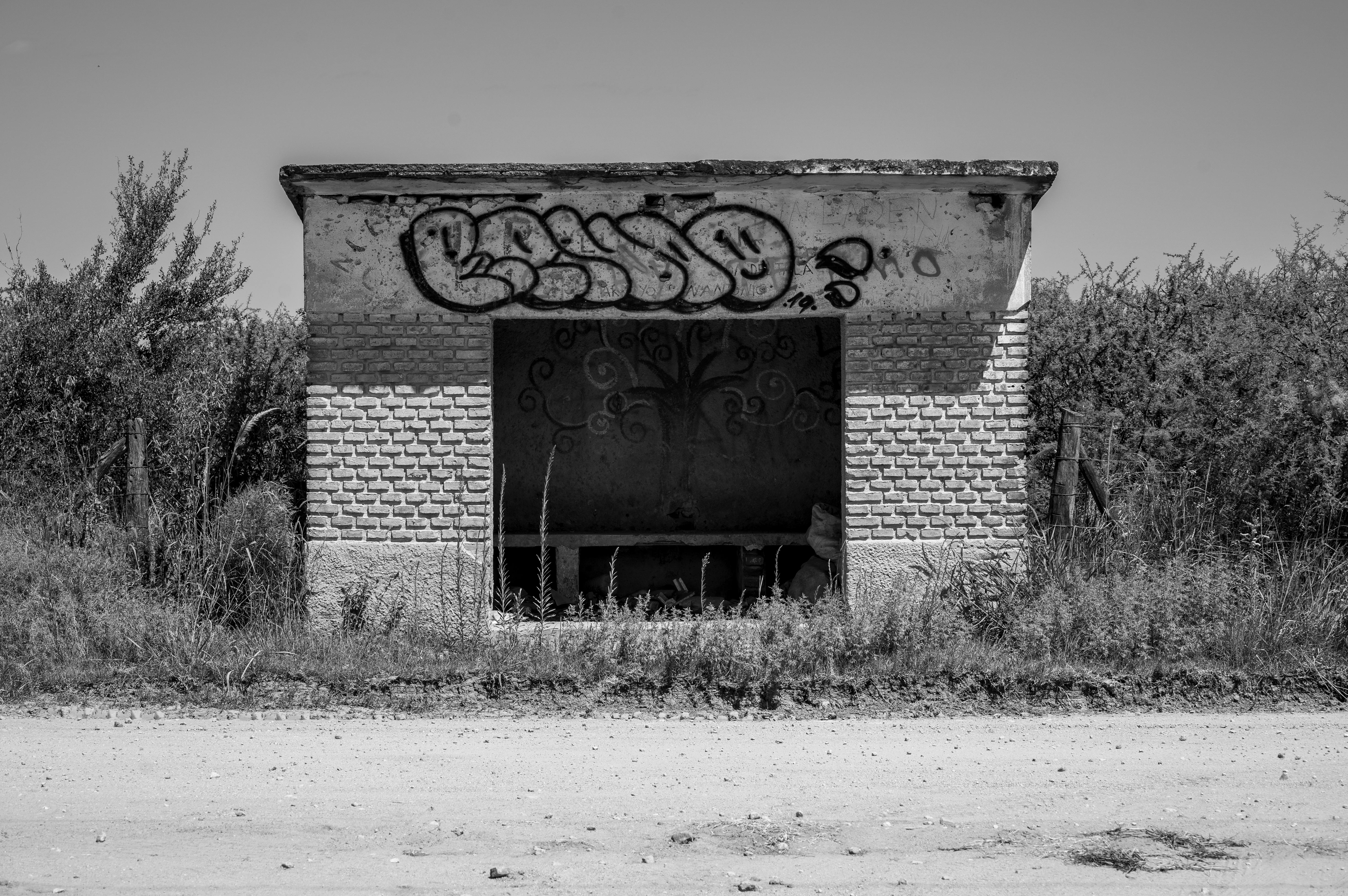 De franc Fotografia en blanc i negre d'una parada d'autobús rural amb grafits a Còrdova. Foto d'estoc