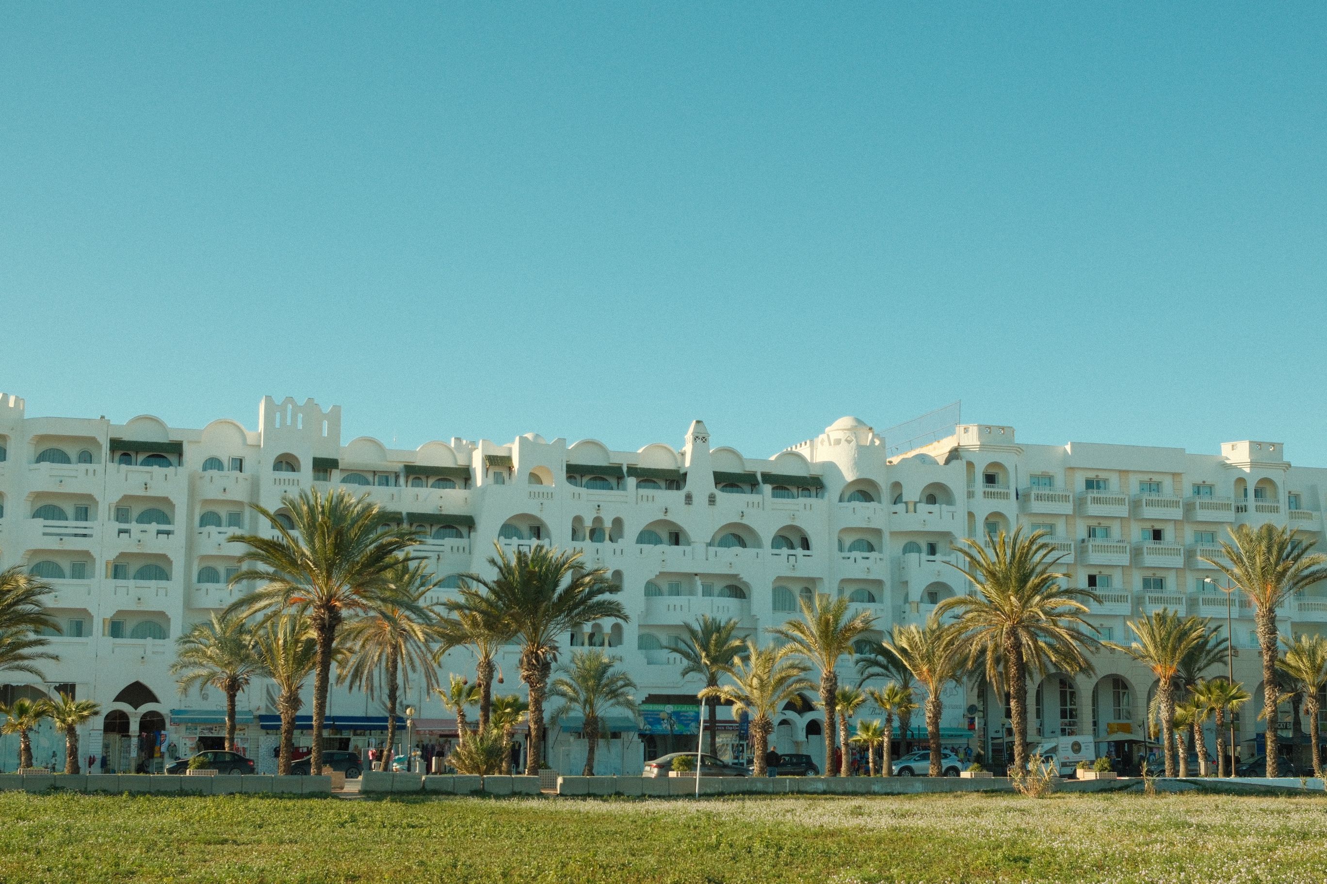 Stunning view of Tunisian architecture with palm trees under a clear blue sky, showcasing cultural elegance.