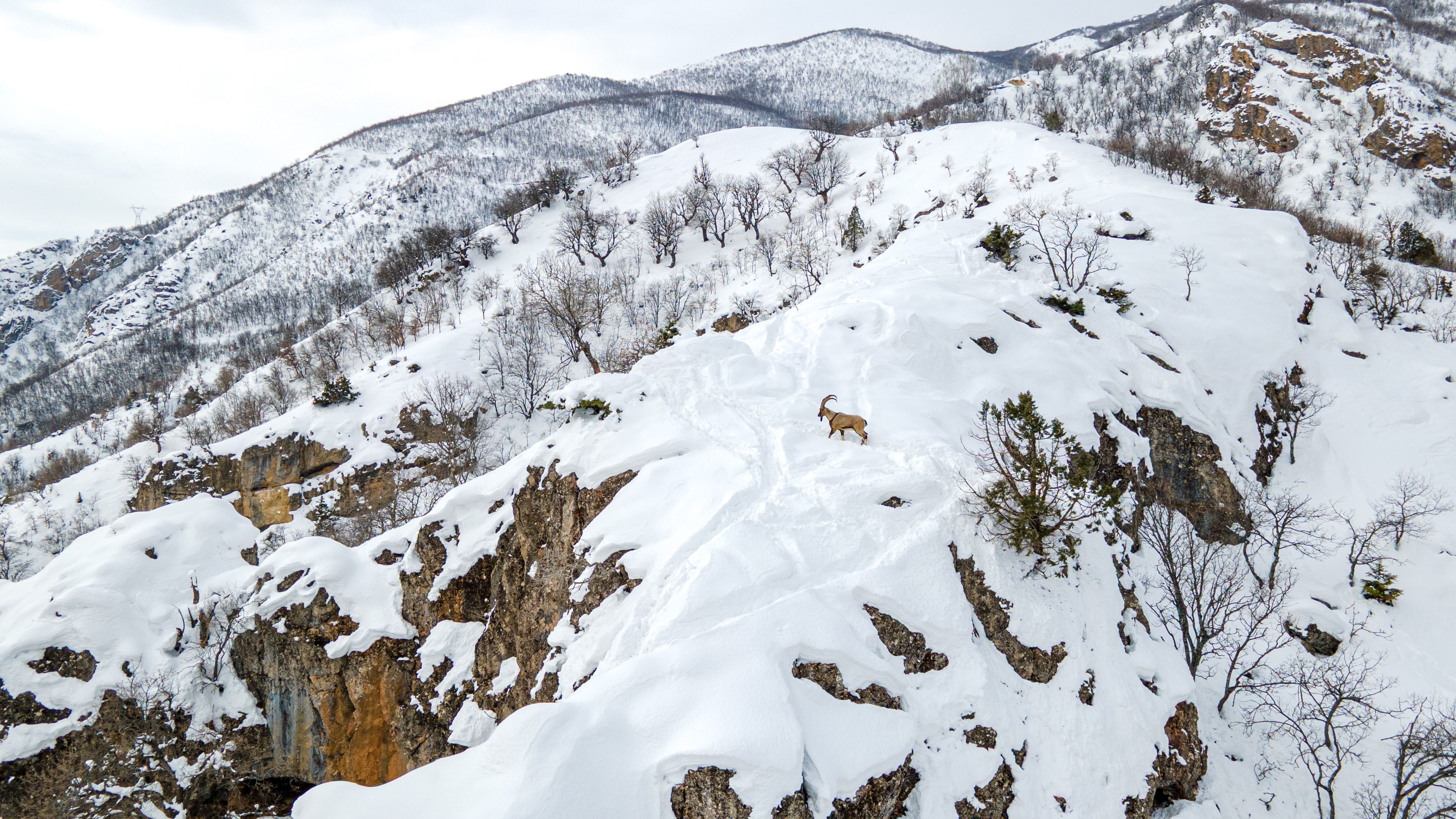 Foto: Adem Albayrak / Pexels
