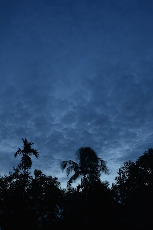 夕空, 曇り空, 母なる自然の無料の写真素材