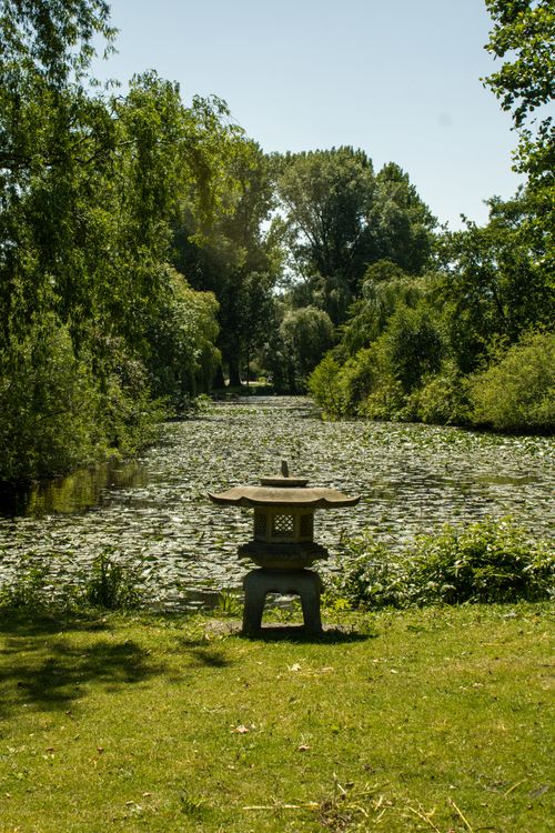 Free A tranquil scene of a Japanese Zen garden with a stone lantern and lush greenery. Stock Photo