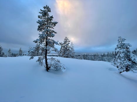 Rovaniemi, Finland photo 17