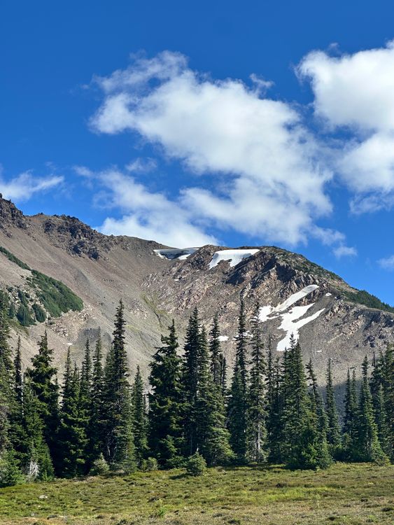 Majestic Mountain View with Pine Trees and Snow · Free Stock Photo