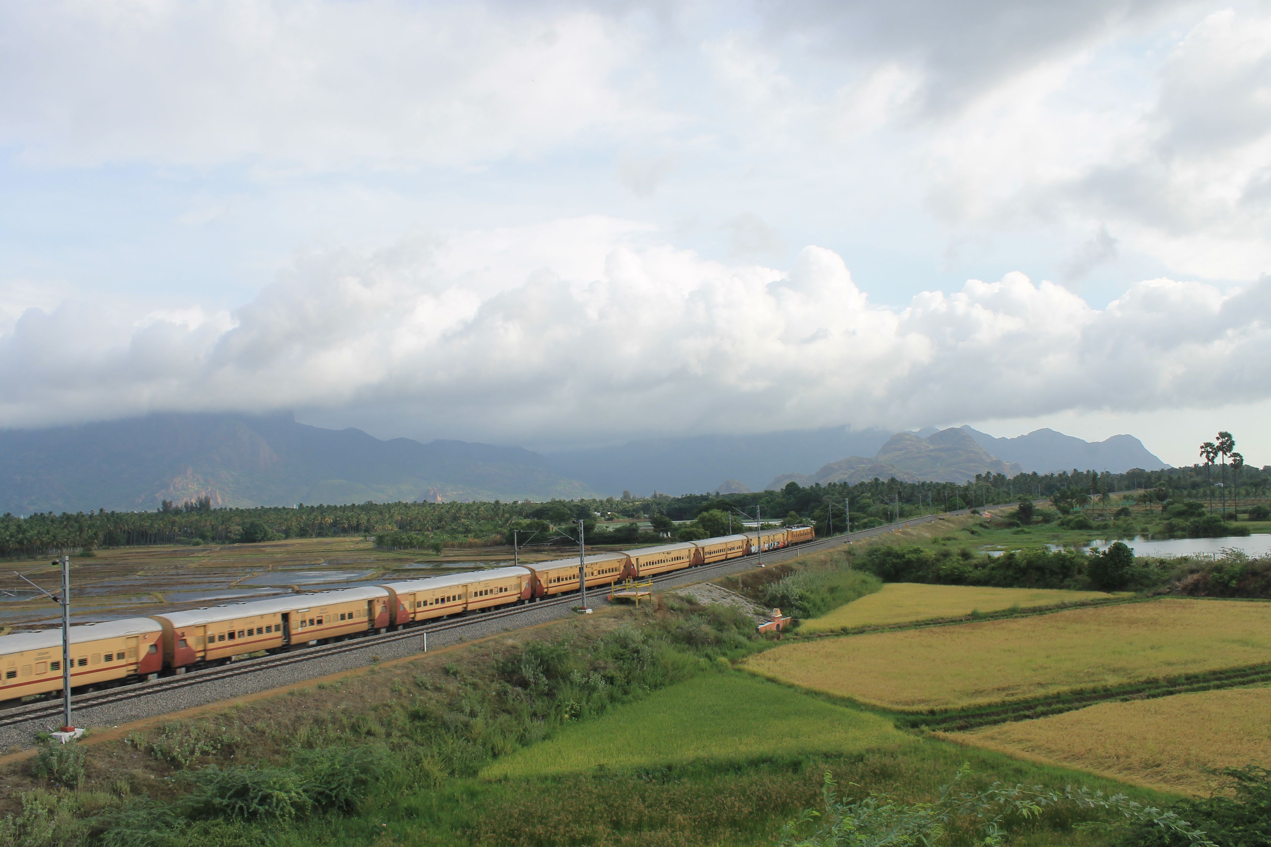 Train crossing lush green landscape in rural setting · Free Stock Photo