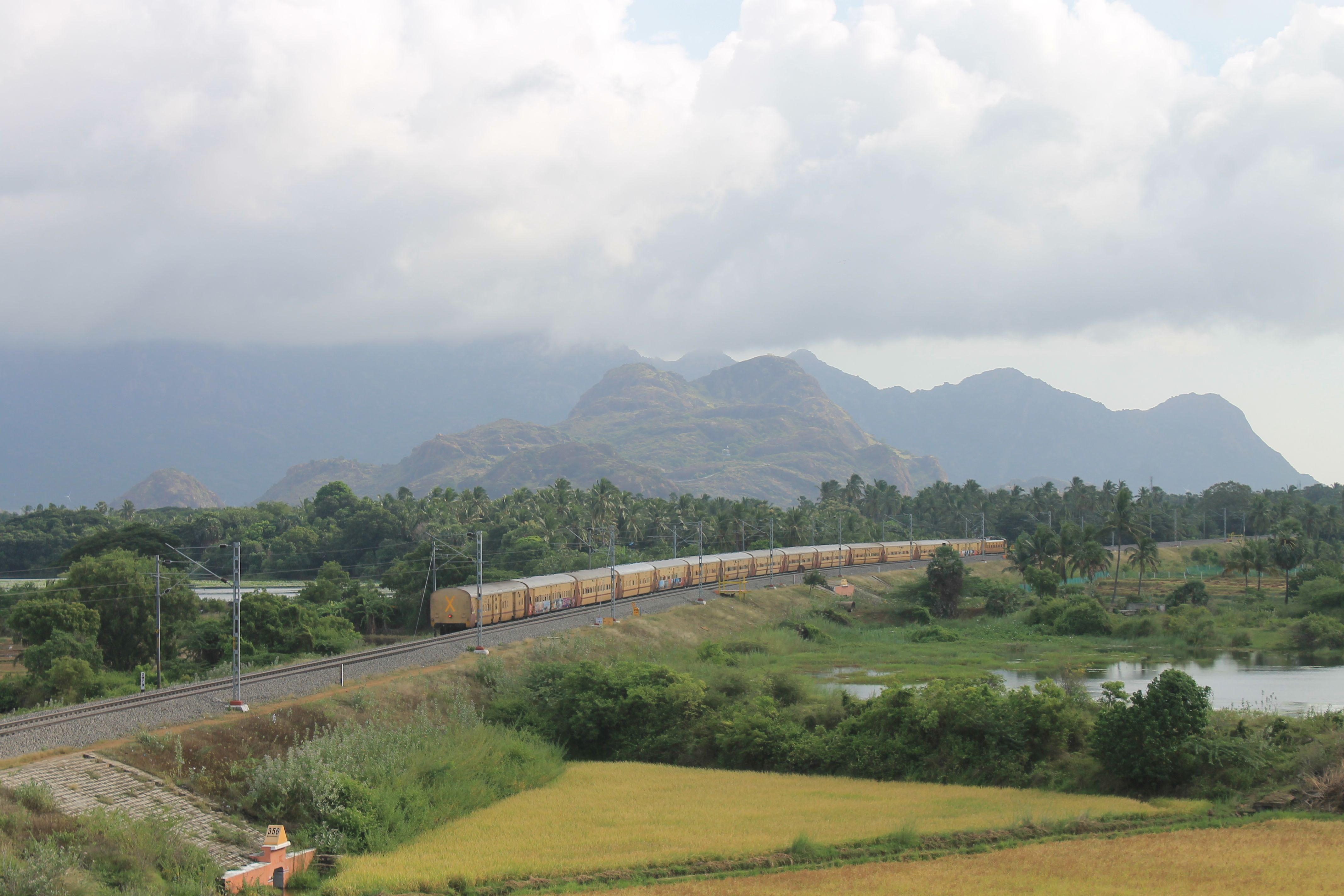 Train traveling through lush greenery with mountain backdrop.