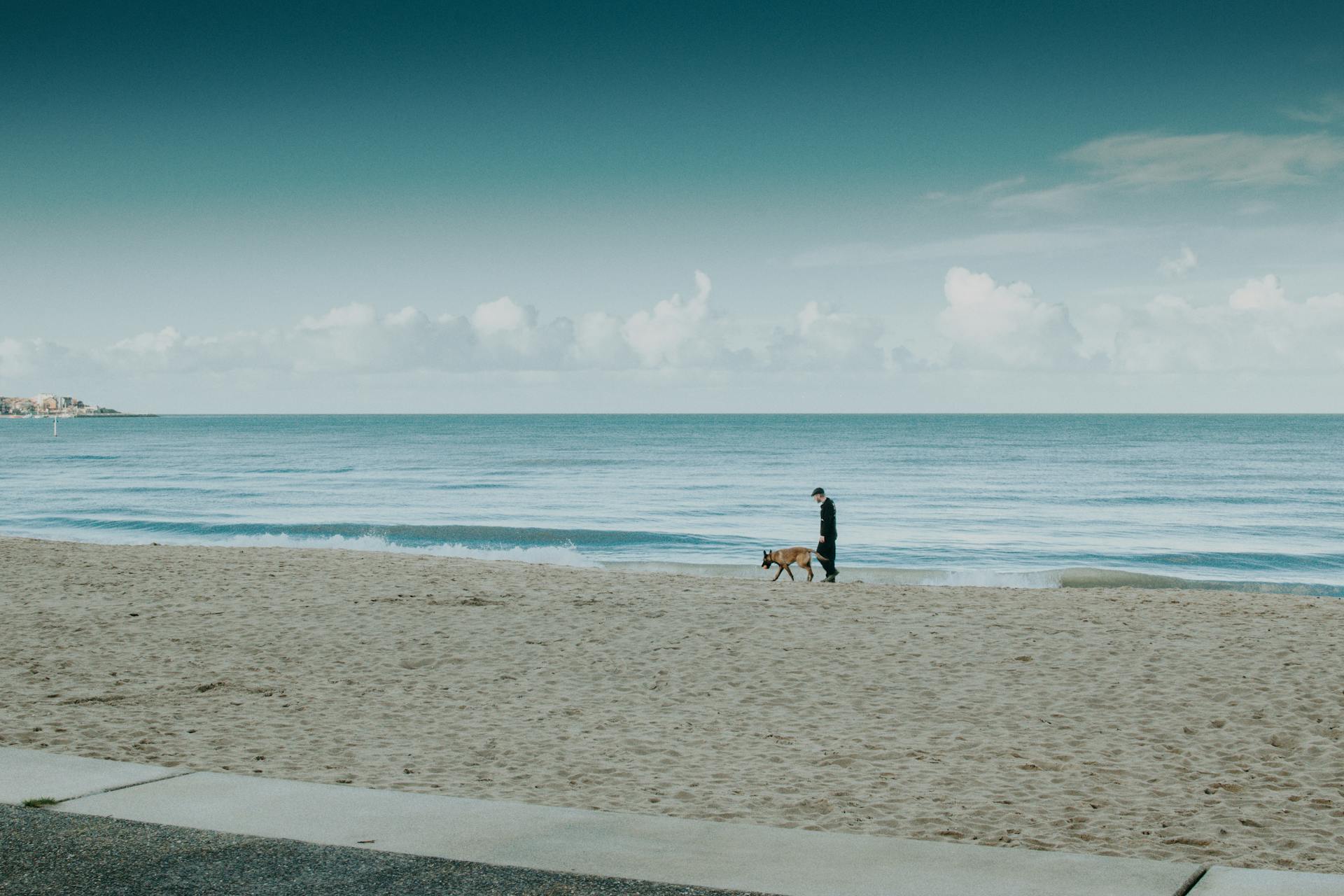 Man and Dog Walking on Beach Line