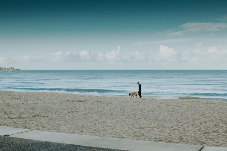 Man And Dog Walking On Beach Line