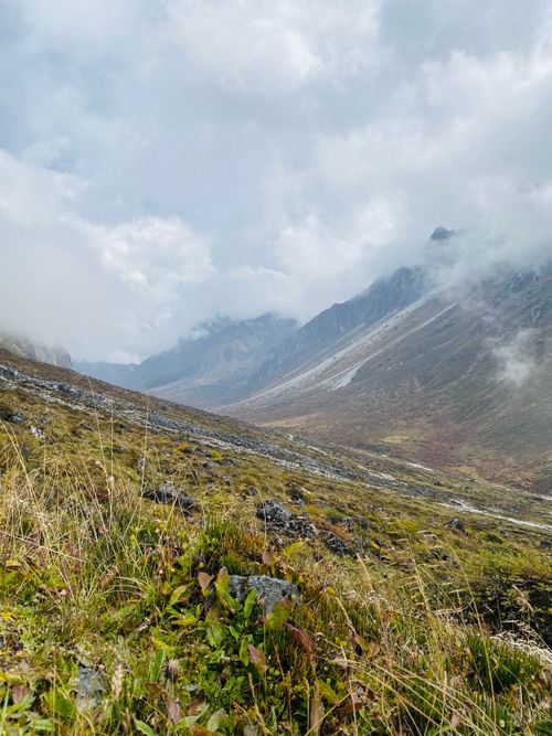Free Discover a serene foggy mountain view with lush greenery and majestic peaks, perfect for travel inspiration. Stock Photo