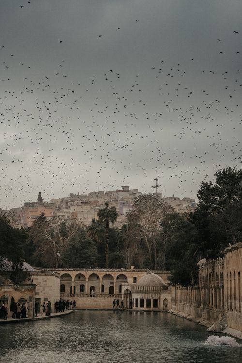 Free Dramatic view of birds over Balıklıgöl with historic architecture in Şanlıurfa, Türkiye. Stock Photo