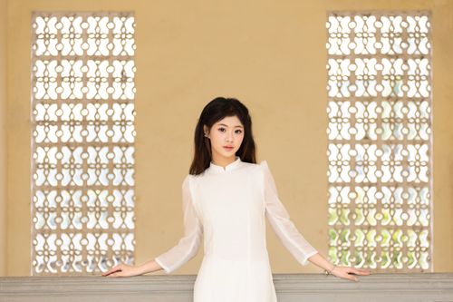 Free Elegant portrait of a woman wearing an Ao Dai in Hanoi, Vietnam. Stock Photo