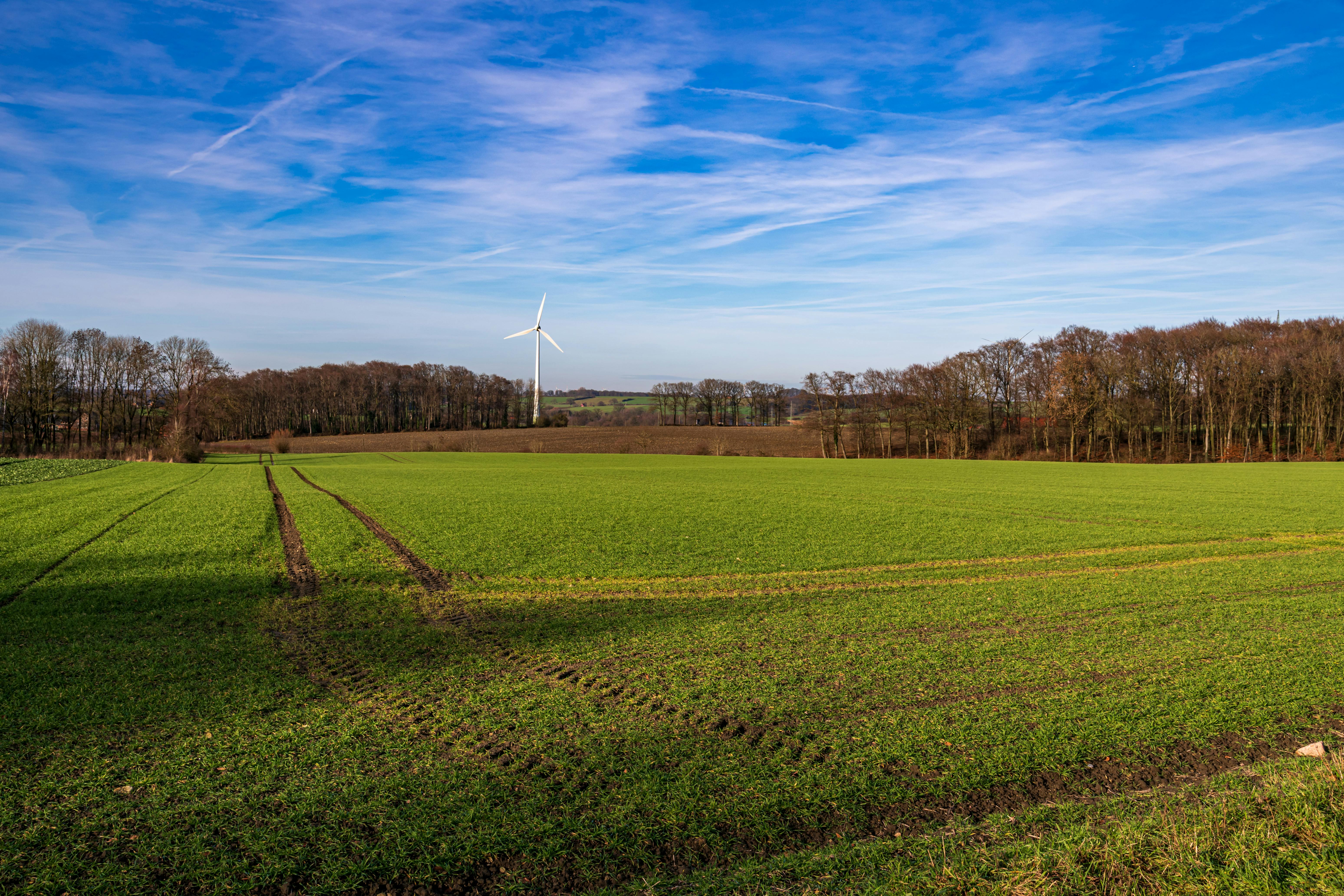 Sustainability of green hydrogen technologies depends on energy mix and supply chain — Photo by Sergej 📸 on Pexels