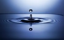 Photo of  Water Drop