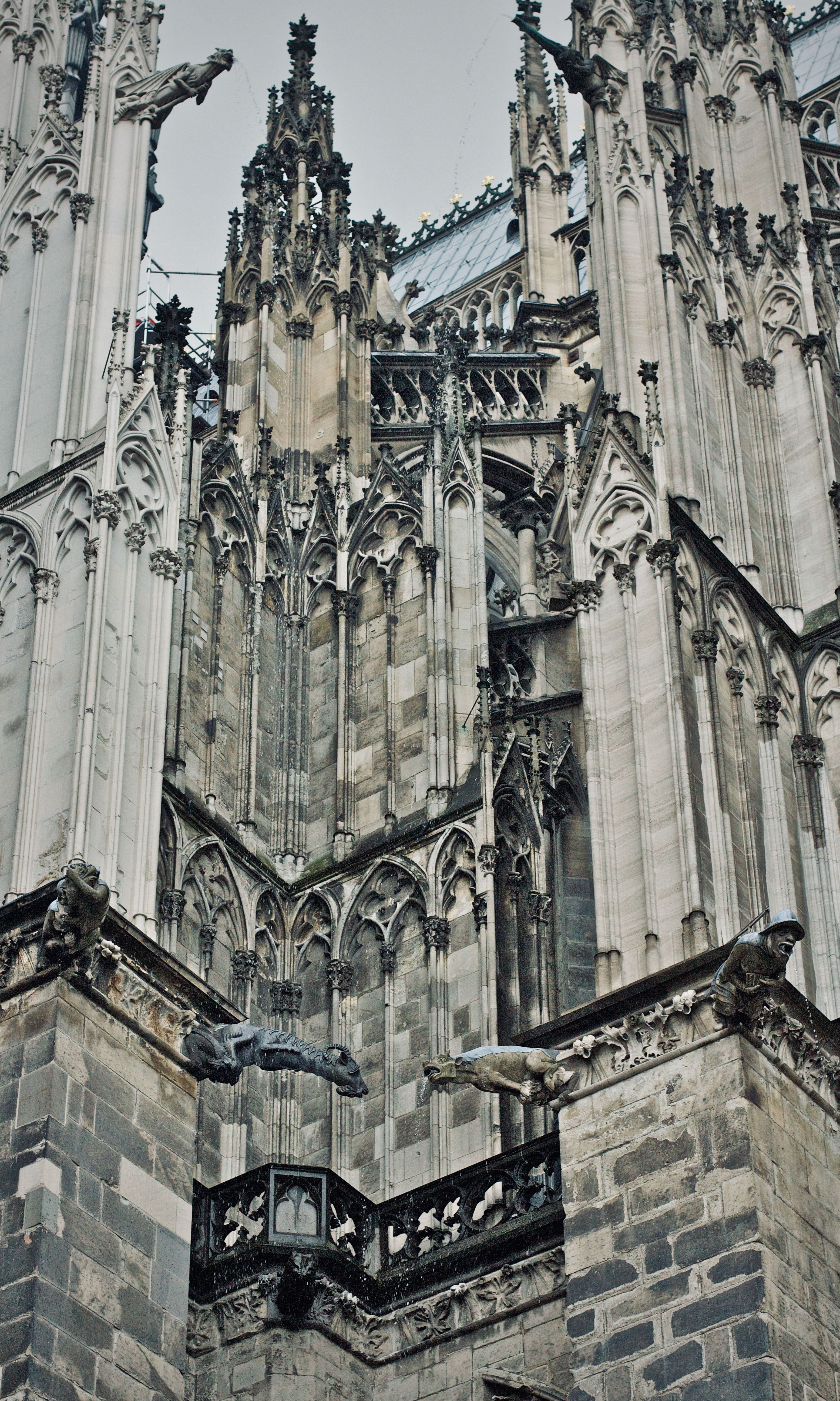 Detailed Gothic Cathedral Architecture with Gargoyles · Free Stock Photo