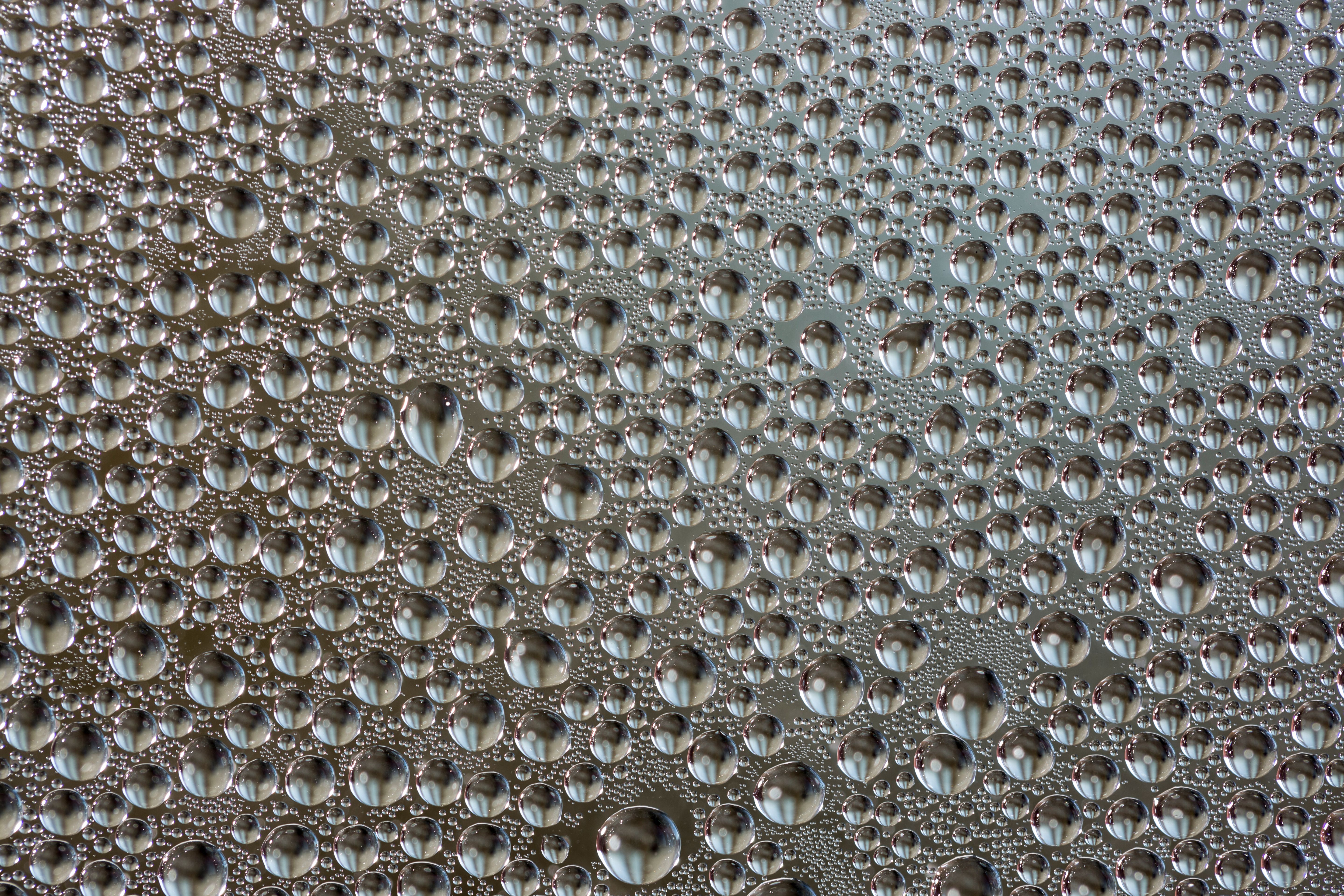 What Is Dehumidification and How Long Does It Take?