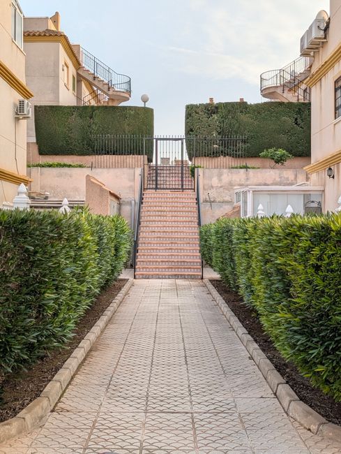Fotomural Un tranquilo paseo residencial bordeado de setos recortados que conduce a unas escaleras de baldosas.