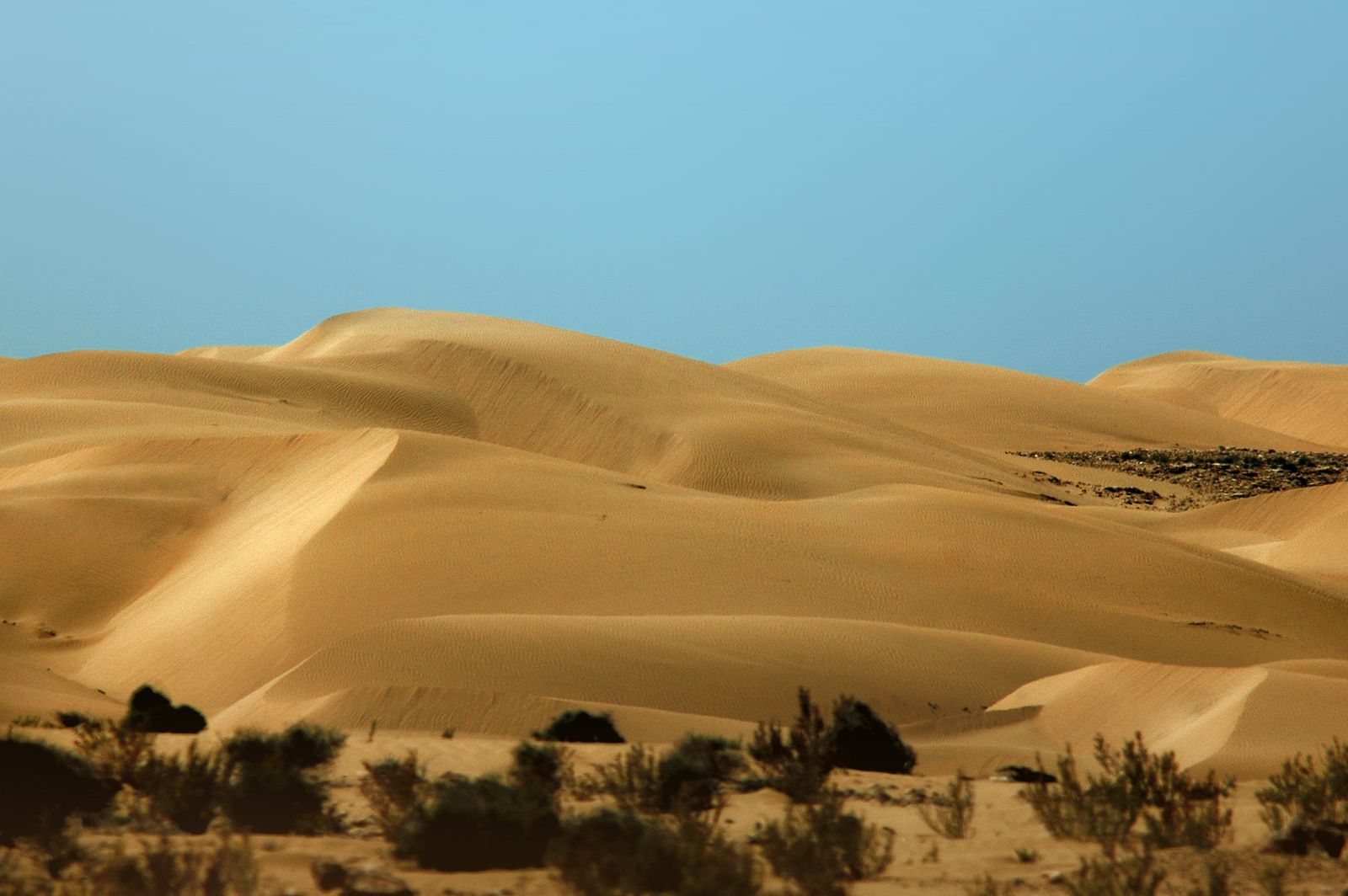 5-Day Marrakech to Merzouga Desert Tour