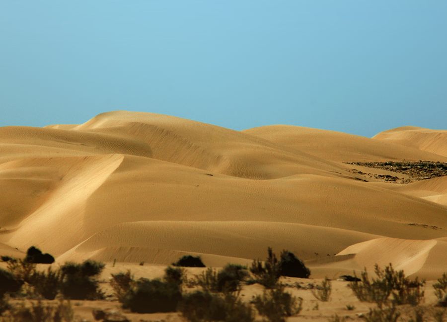 Beautiful sand dunes under a clear blue sky in Tan-Tan, Morocco.